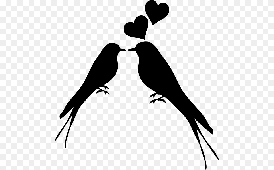 Small Medium Large Love Birds Silhouette Bird, Stencil, Animal, Blackbird Free Transparent Png