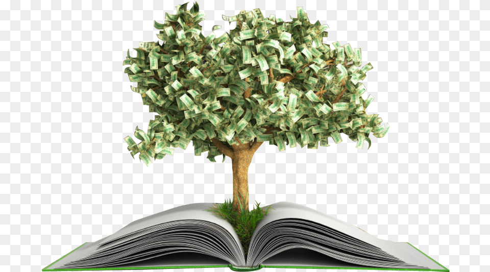 Small Money Tree Growing Money Tree, Book, Plant, Publication, Green Free Transparent Png