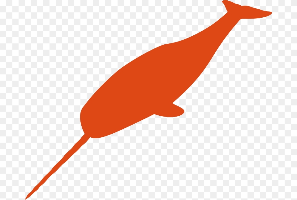 Small Narwhal Free Vector, Animal, Sea Life, Mammal, Whale Png Image