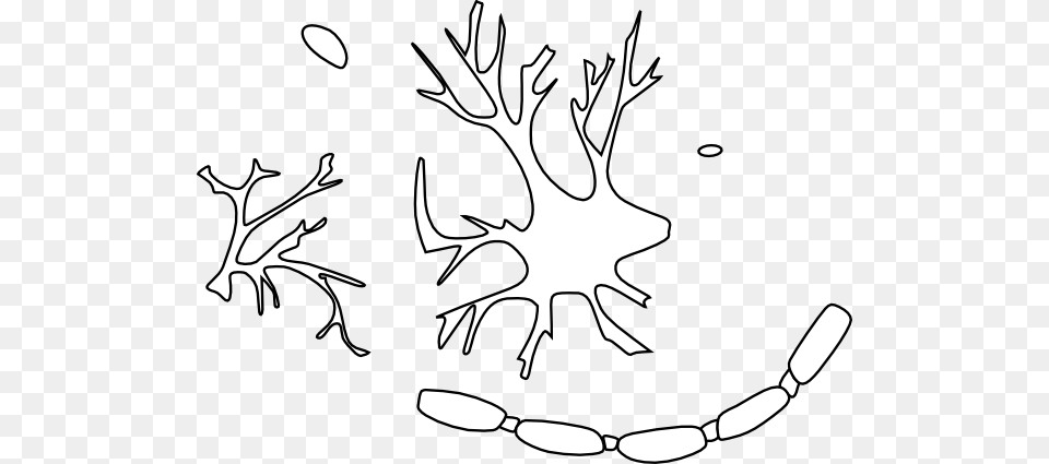 Small Neuron Clipart, Art, Stencil, Drawing, Baby Free Png Download