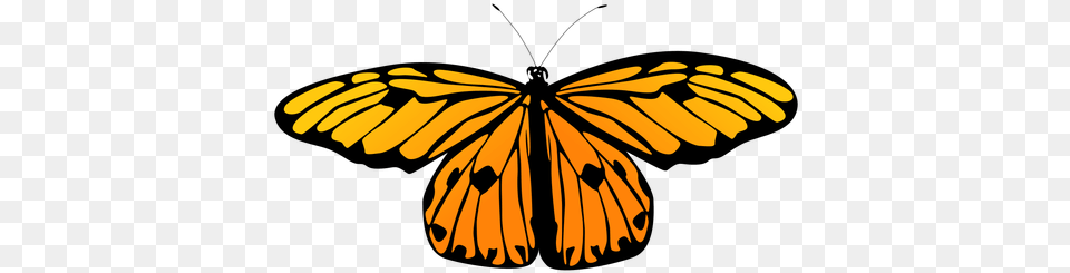 Small Orange Butterfly Vector U0026 Svg Vector Monarch Butterfly Aesthetic Painting, Animal, Insect, Invertebrate, Mammal Free Transparent Png