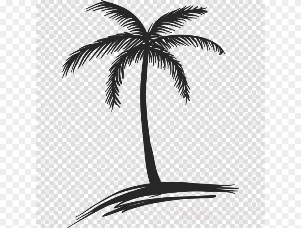 Small Palm Tree Drawing, Palm Tree, Plant Png Image