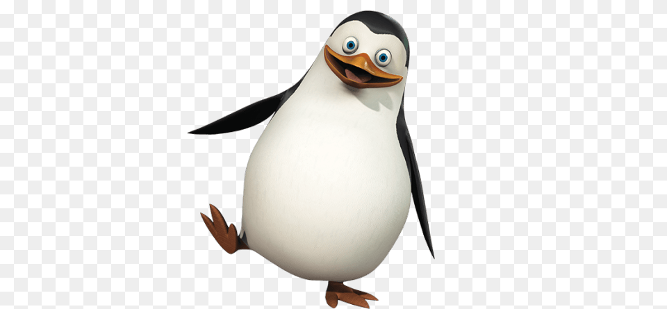 Small Penguin, Animal, Bird Free Transparent Png