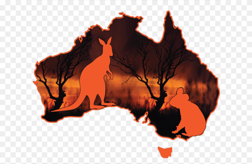 Small Picture Of Australia, Animal, Kangaroo, Mammal, Bear Png Image