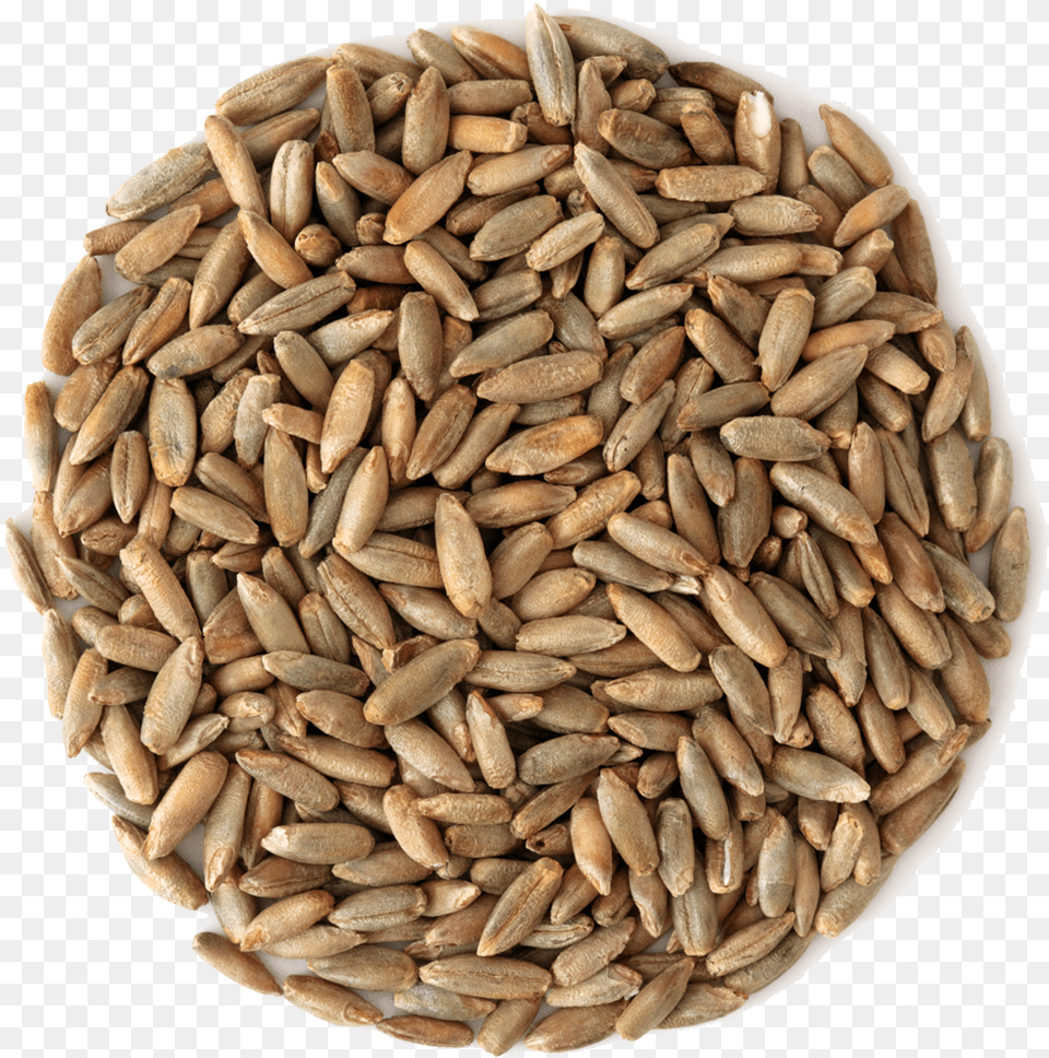 Small Pile Of Grain Beer, Food, Produce, Bread, Wheat Png