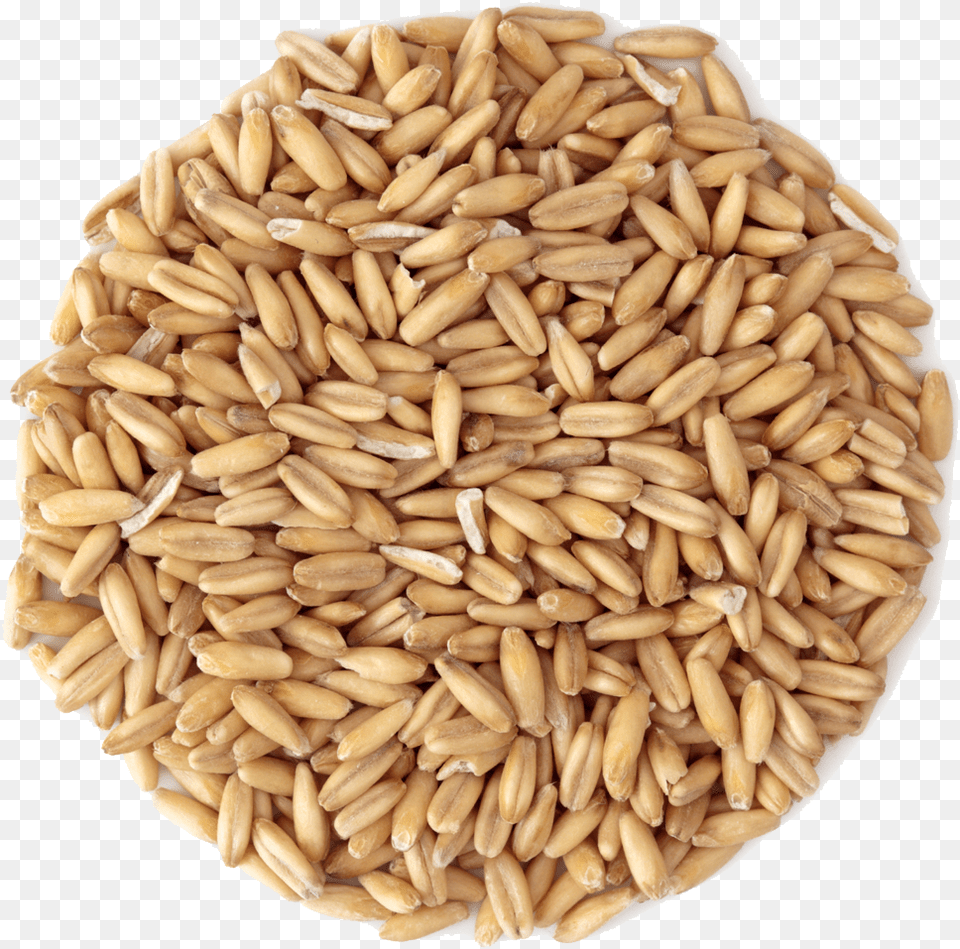 Small Pile Of Grain Oats Grain, Food, Produce, Wheat Png
