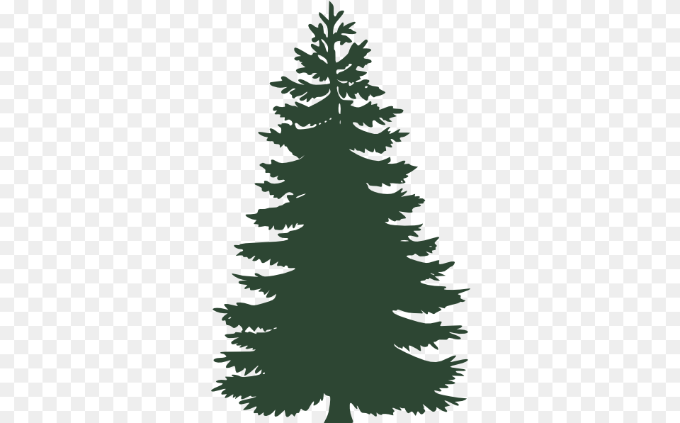 Small Pine Tree Clip Arts For Web Vector Pine Tree, Fir, Plant, Conifer, Person Png Image