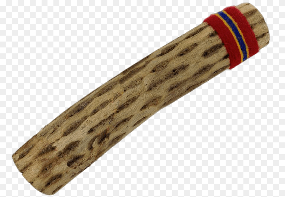 Small Rainstick, Animal, Insect, Invertebrate Free Transparent Png