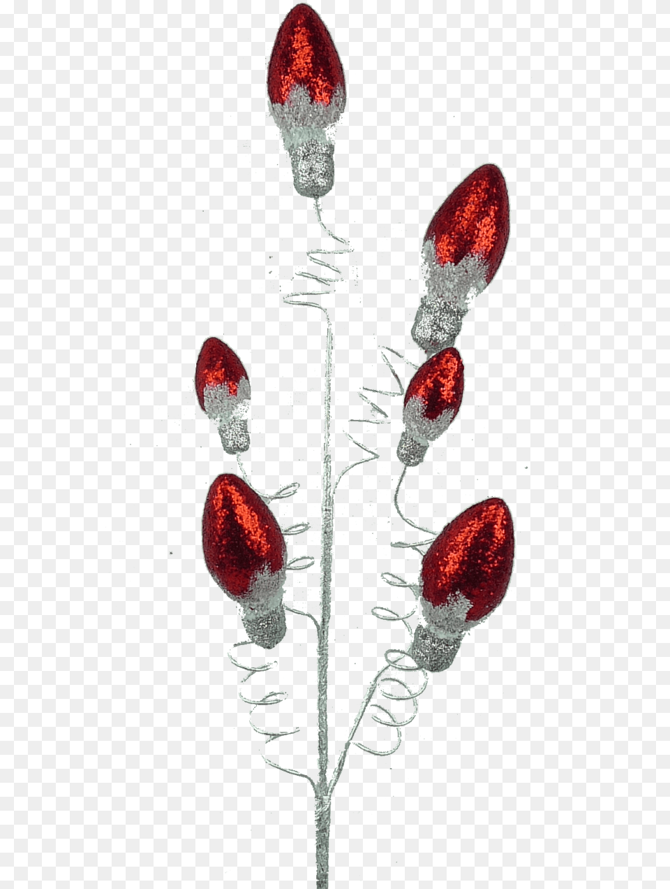 Small Red Light Bulb Spray Earrings, Plant, Flower, Petal, Electronics Png Image