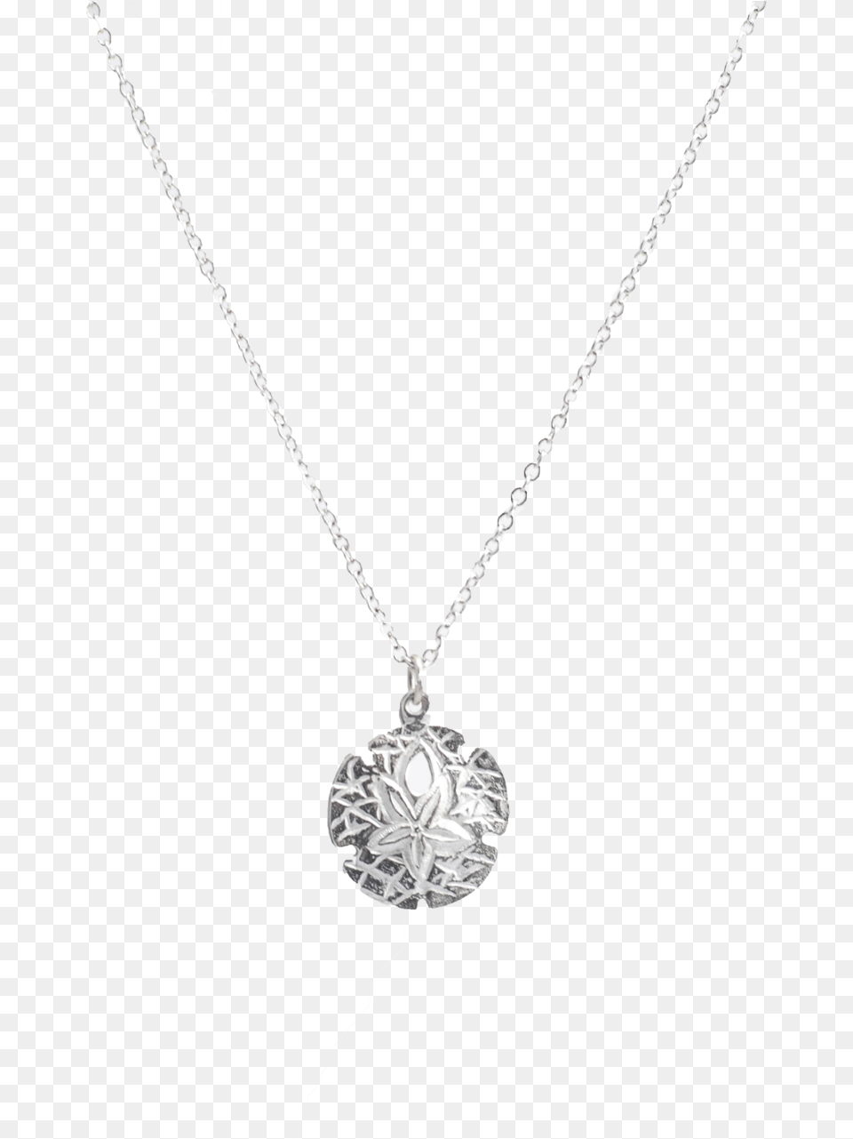 Small Sand Dollar Necklace Necklace, Accessories, Jewelry, Pendant, Locket Png