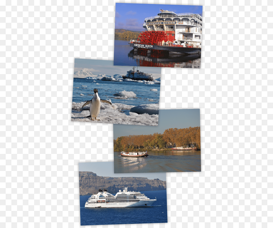 Small Ship And Yacht Cruises Collage, Animal, Art, Bird, Boat Png Image
