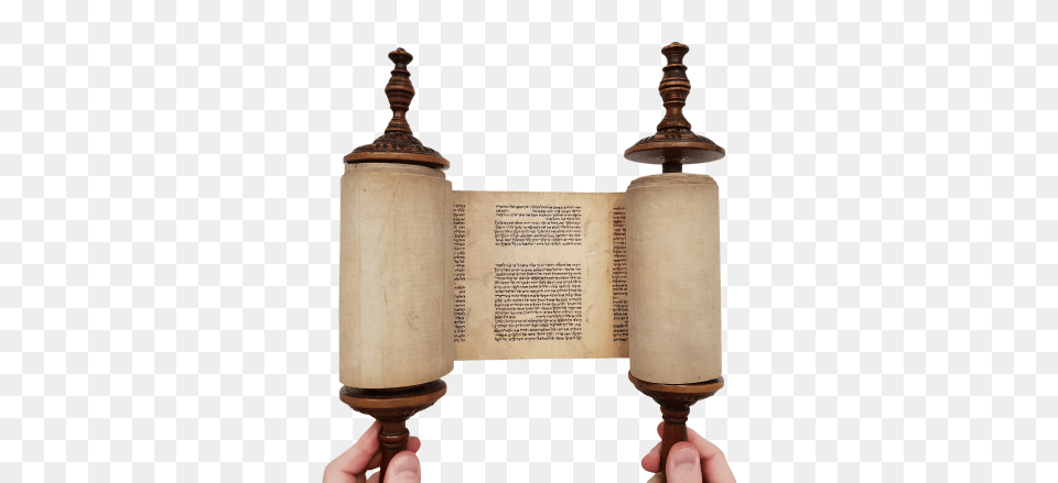 Small Torah Scroll Ashkenaz Century Special Scroll, Text, Document, Person Free Png