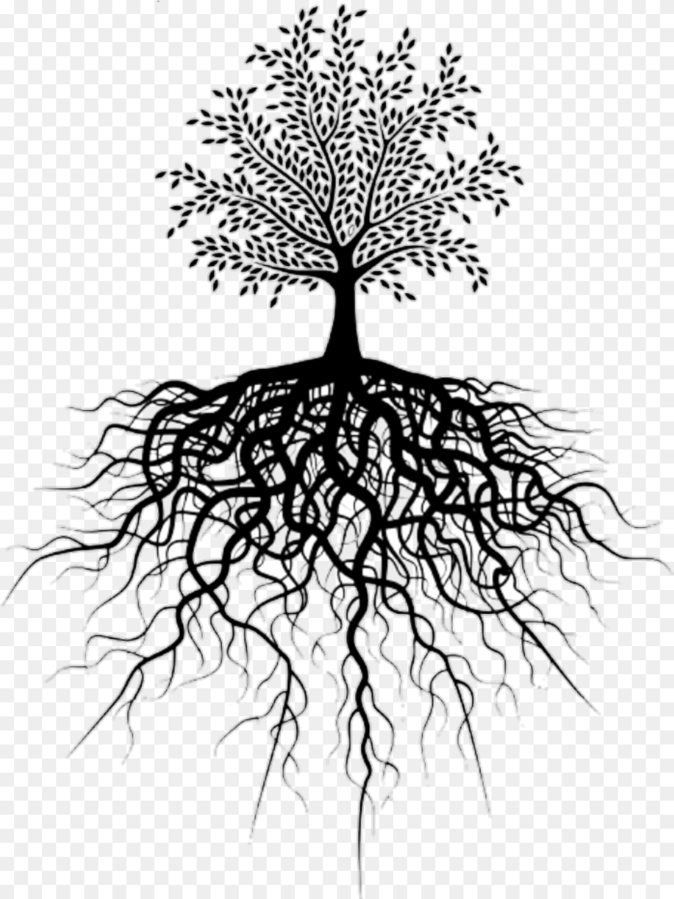 Small Tree Big Roots, Plant, Root, Art, Drawing Png