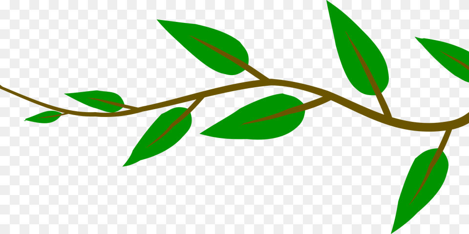 Small Tree Branch With Green Leaves Image Photo, Plant, Leaf, Herbs, Herbal Free Png