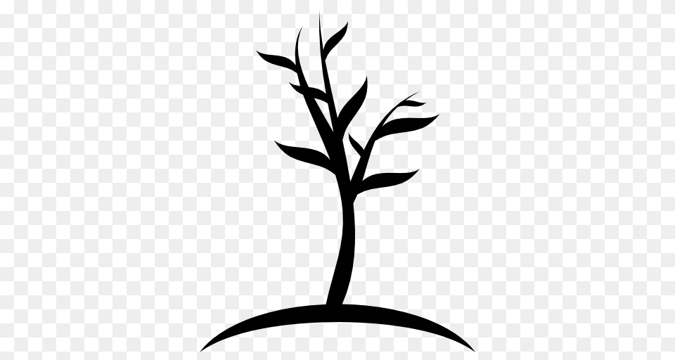 Small Tree Royalty Stock Images For Your Design, Silhouette, Stencil, Leaf, Plant Png Image