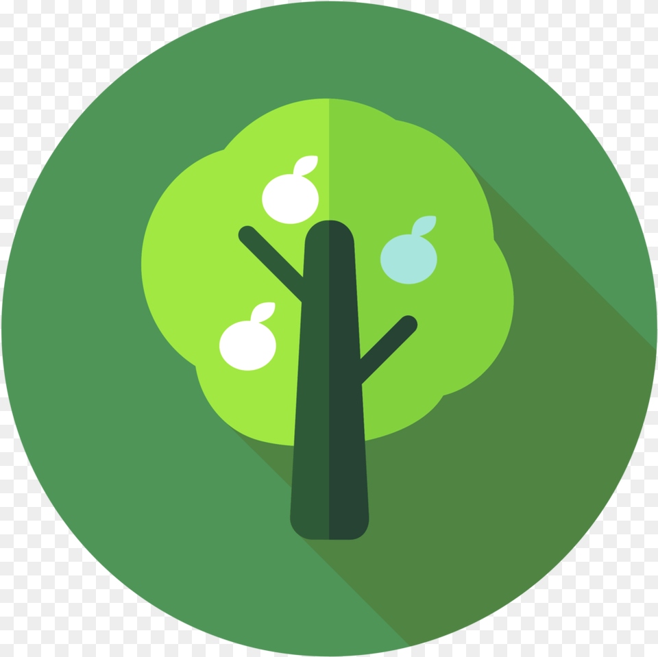 Small Tree Small Tree Work Circle Vippng Dot, Green, Utility Pole, Lighting, Disk Png