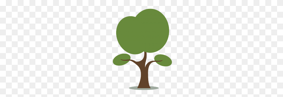 Small Tree Vector, Green, Leaf, Plant, Food Png