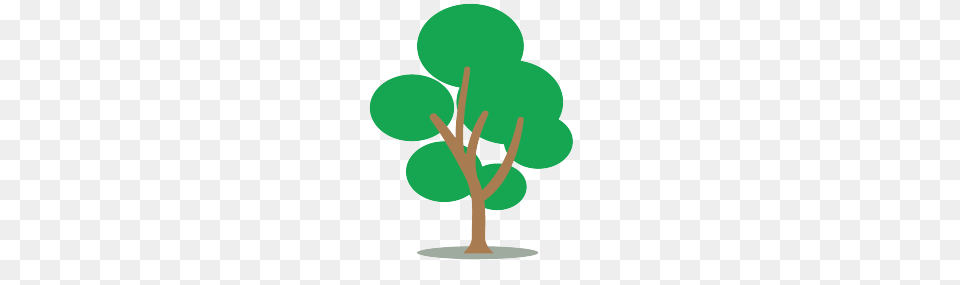 Small Tree Vector, Leaf, Plant Free Transparent Png