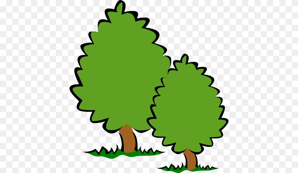 Small Trees Bushes Clipart, Conifer, Green, Plant, Tree Png Image