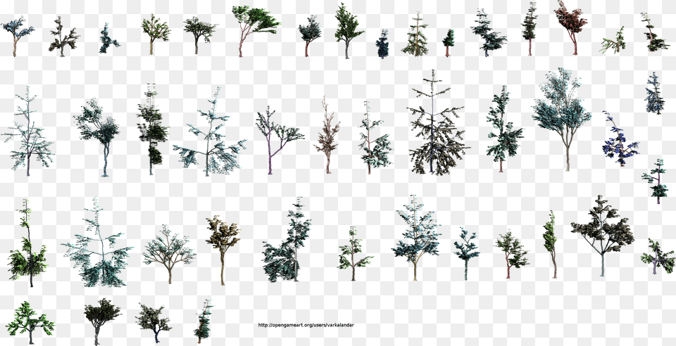 Small Trees Tree Side View, Plant, Vegetation, Pattern, Outdoors Free Transparent Png