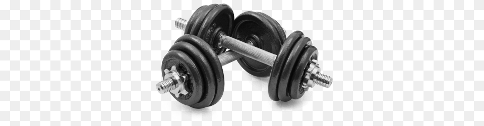 Small Weights, Fitness, Gym, Gym Weights, Sport Free Png Download
