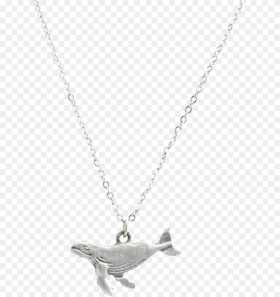 Small Whale Necklace Pendant, Accessories, Jewelry Free Png Download