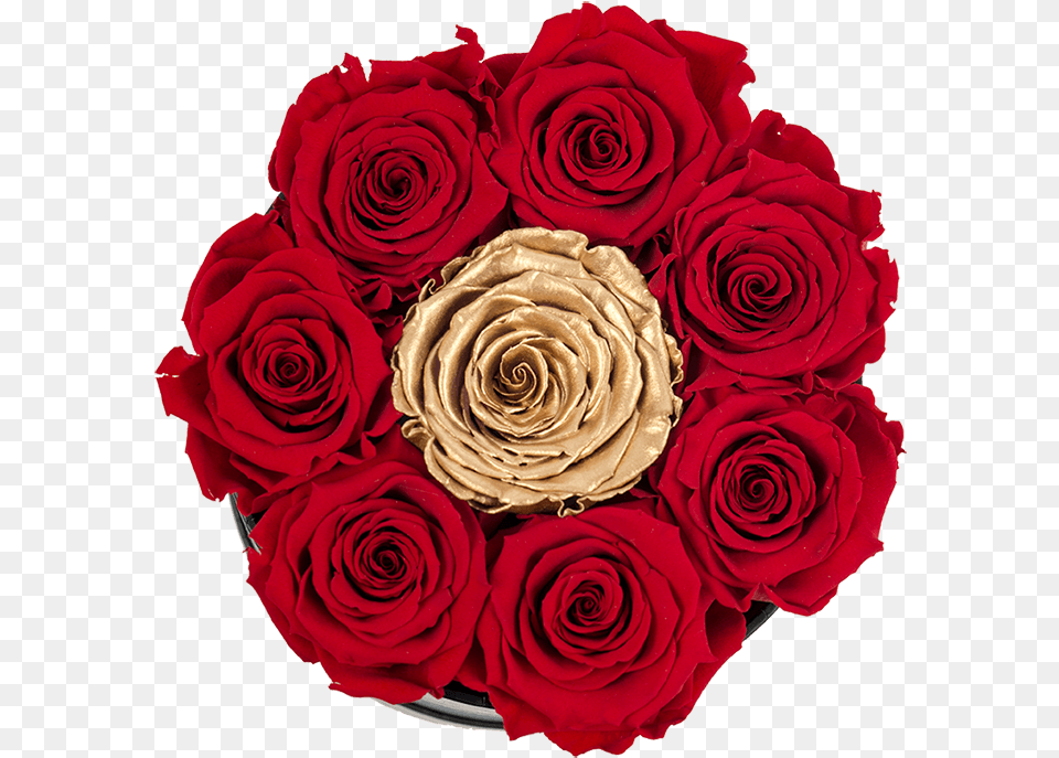 Small White Box With Red Roses And Center Gold Rose, Flower, Flower Arrangement, Flower Bouquet, Plant Png