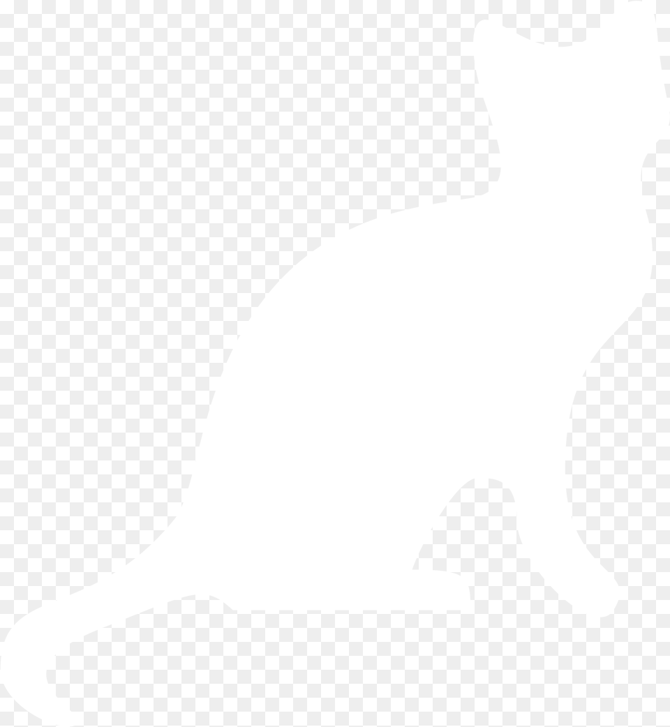 Small White Cat Clip Art At Clker Schrodinger39s Cat Is Dead Alive, Animal, Mammal, Pet Png