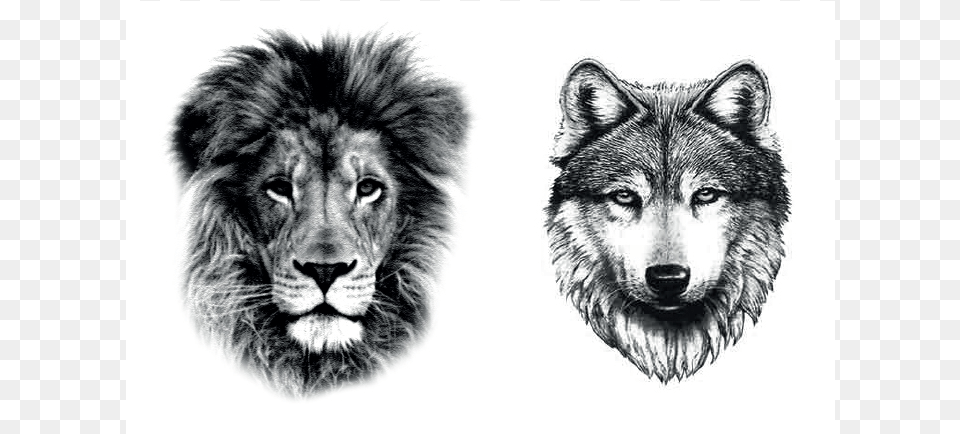 Small Wolf Head Tattoo, Animal, Art, Lion, Mammal Free Transparent Png