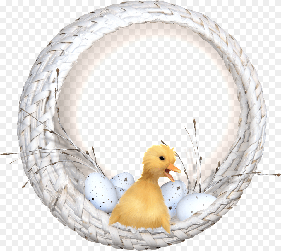 Small Yellow Duck In The Basket Portable Network Graphics, Animal, Bird Free Transparent Png