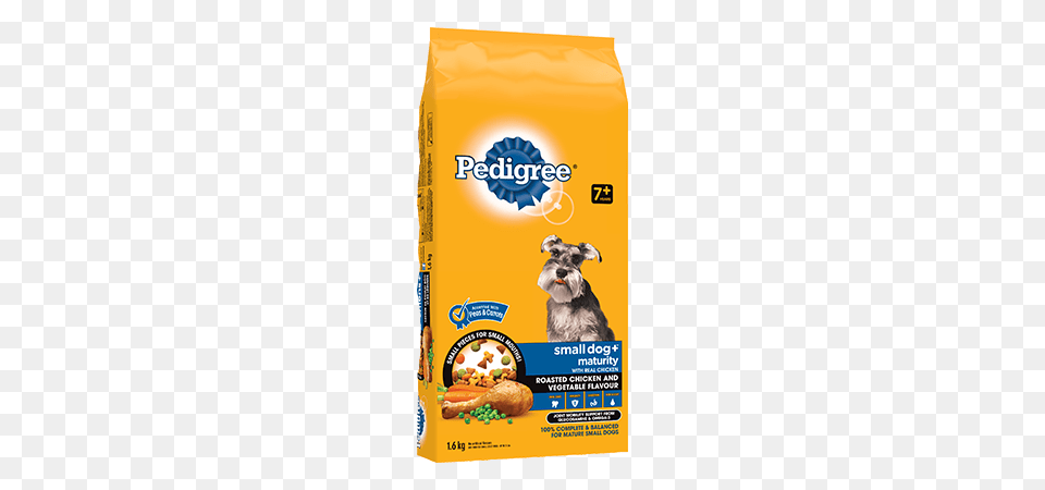 Smalldog, Animal, Canine, Dog, Mammal Png