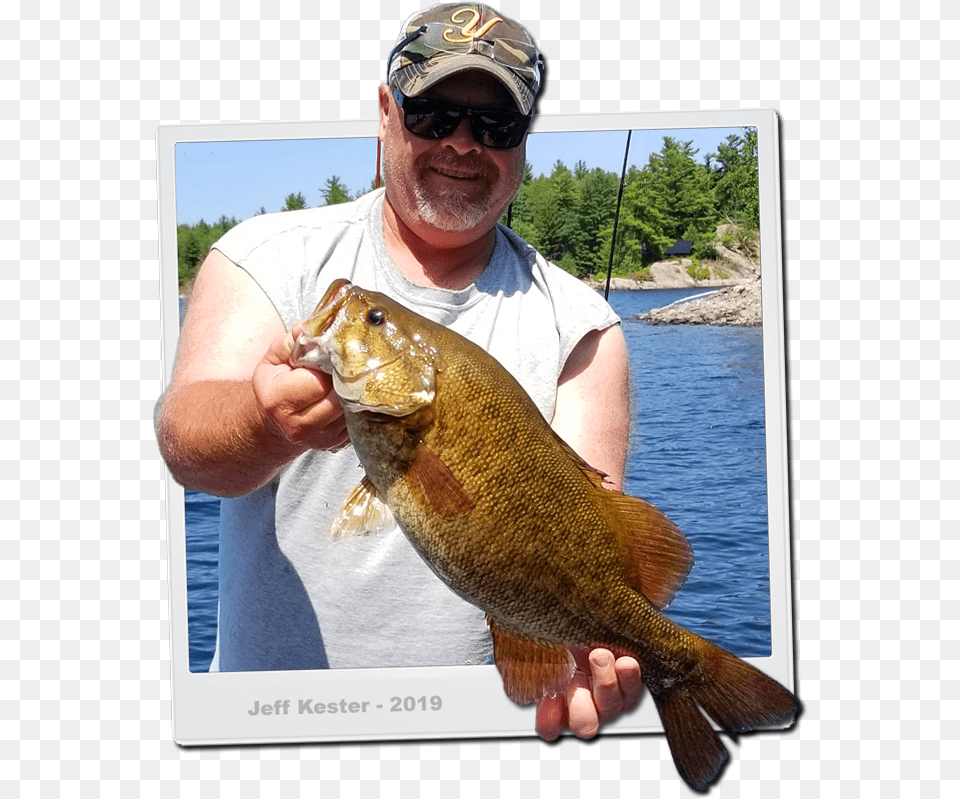 Smallmouth Bass Pull Fish Out Of Water, Accessories, Sunglasses, Animal, Sea Life Png