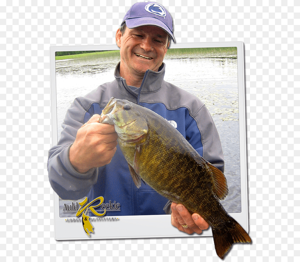 Smallmouth Bass Pull Fish Out Of Water, Sea Life, Animal, Person, Man Free Png Download