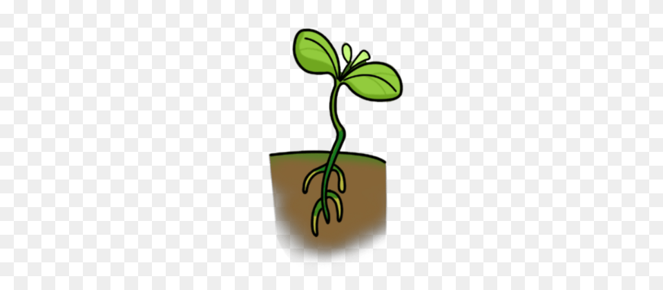 Smart Exchange, Leaf, Plant, Potted Plant, Sprout Png
