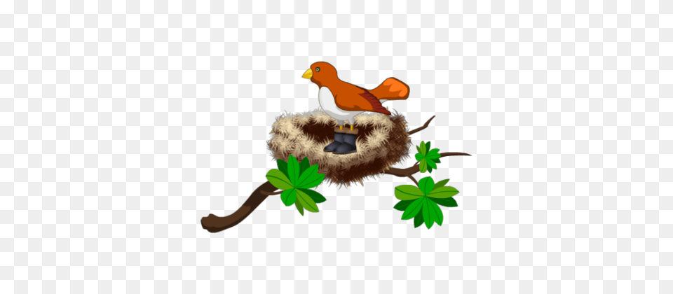 Smart Exchange, Leaf, Plant, Animal, Bird Png