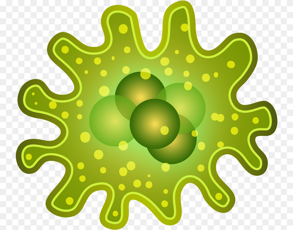 Smart Infectious Diseases For Bacterias, Pattern, Accessories, Fractal, Ornament Free Png