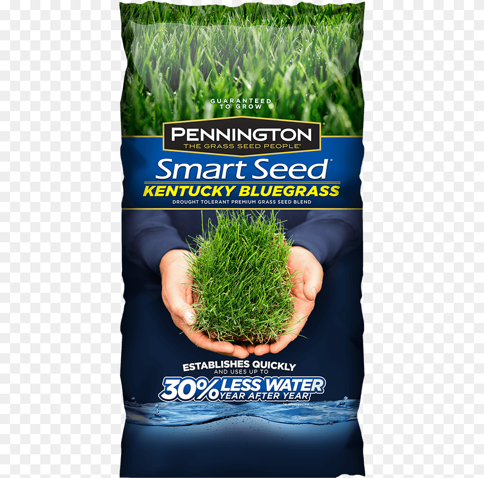 Smart Seed, Advertisement, Food, Grass, Plant Png Image