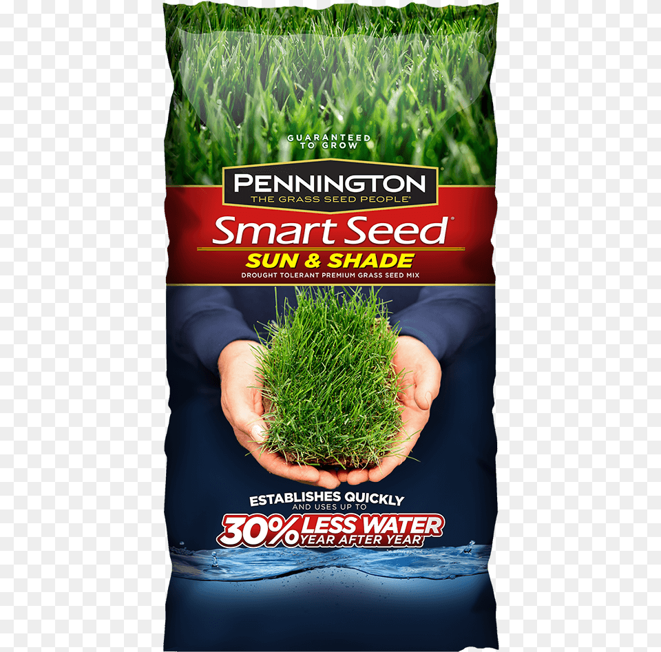 Smart Seed, Advertisement, Food, Grass, Plant Free Png