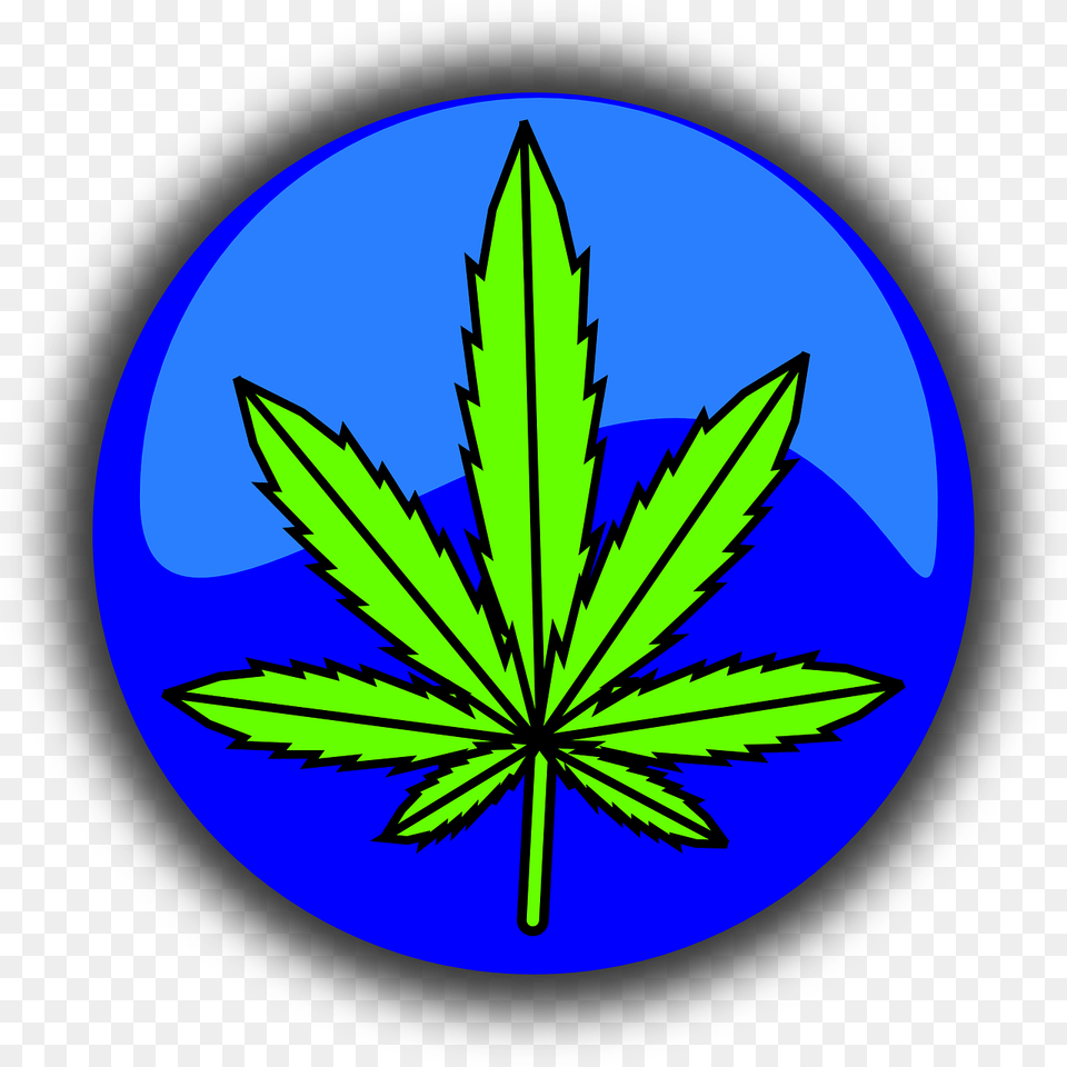 Smart Sources To Support Your Medical Marijuana Essay Bud E Liquid, Leaf, Plant, Weed, Hemp Png Image