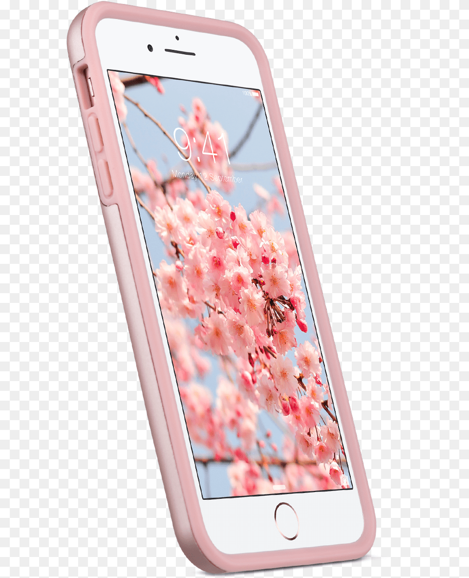 Smartphone, Electronics, Mobile Phone, Phone, Flower Png