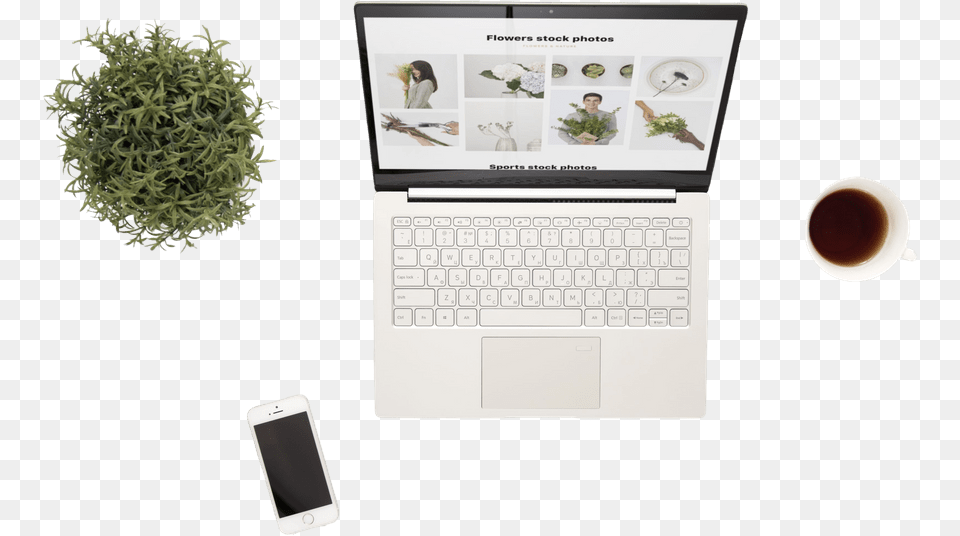 Smartphone, Computer, Plant, Pc, Laptop Png Image