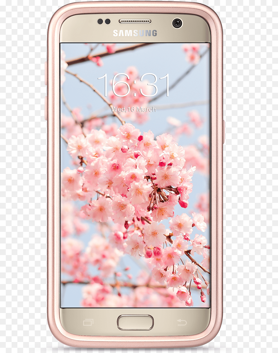 Smartphone, Electronics, Mobile Phone, Phone, Flower Png