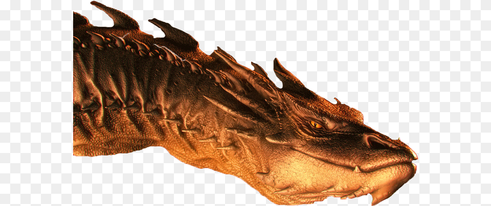 Smaug Is The Fire Breathing Dragon From J Drogon, Animal, Lizard, Reptile Png