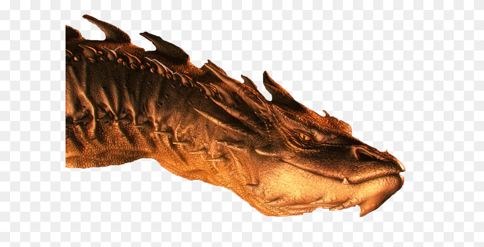 Smaug Is The Fire Smaug, Dragon, Animal, Lizard, Reptile Free Transparent Png