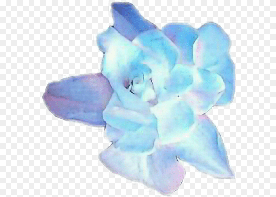 Smeraldo Bts Kimseokjin Kimseokjinbts Seokjin Smeraldo, Flower, Petal, Plant, Baby Free Transparent Png