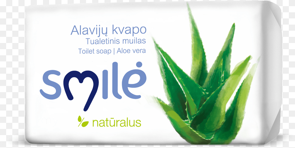 Smil Soap With Aloe Aloe, Plant, Herbal, Herbs Free Png Download