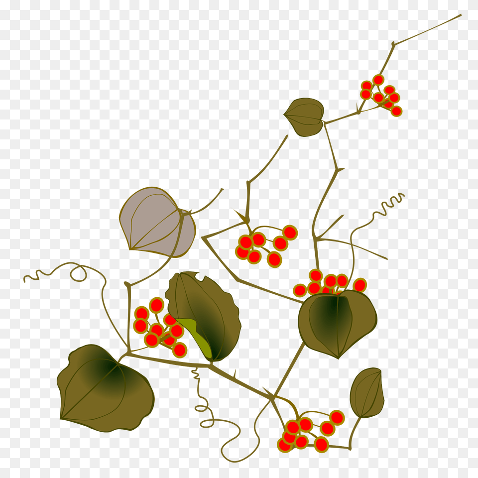 Smilax Clipart, Art, Floral Design, Graphics, Pattern Free Png