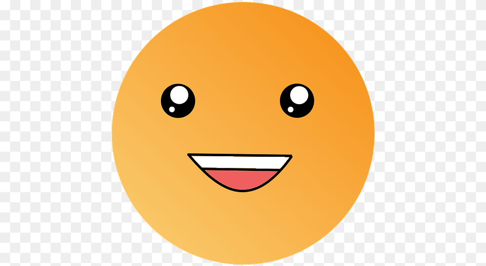 Smiley, Disk, Outdoors Free Png