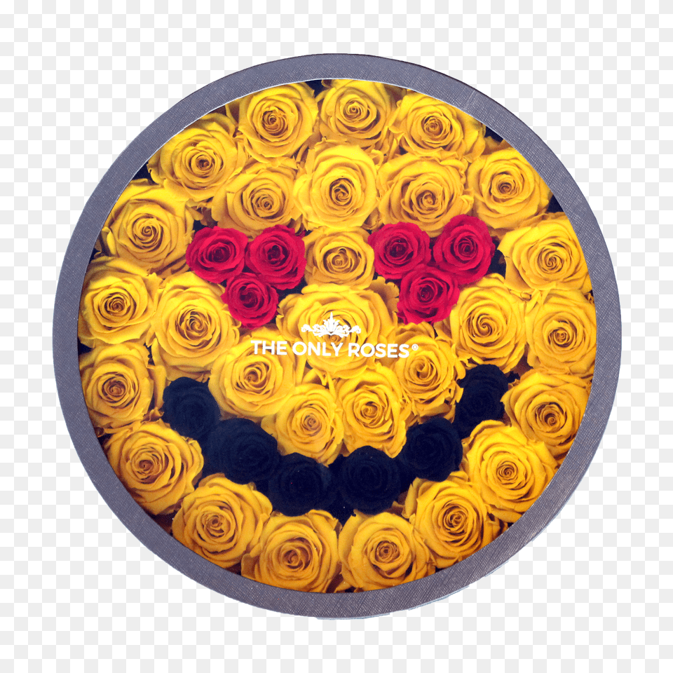 Smiley Face With Heart Eye Emoji American Museum Of Natural History Free Transparent Png