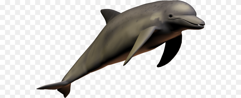 Smiling Dolphin, Animal, Mammal, Sea Life, Fish Png